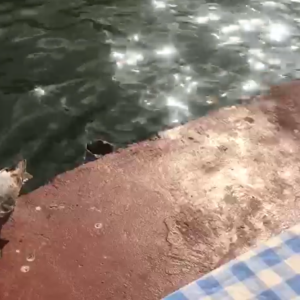 Potansiyelinizi Açığa Çıkarın: Pratik Kişisel Gelişim Yolculuğu